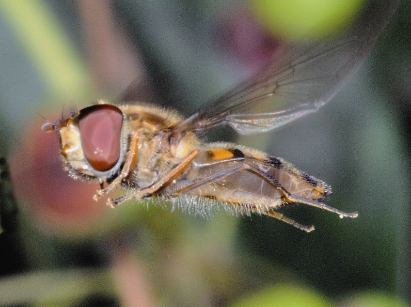 Queste vi consiglio proprio di guardarle!